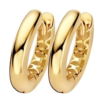 Blush Дамски златни обеци Blush 7369YGO (7369YGO)