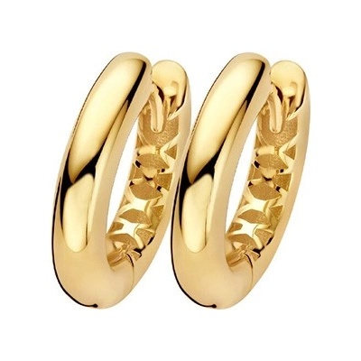 Blush Дамски златни обеци Blush 7369YGO (7369YGO)