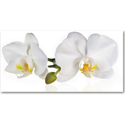 Foto obraz sklenený horizontálny orchidea 100x50 cm