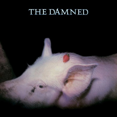 Strawberries (RSD22 EX): Damned CD