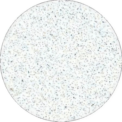 Staleks Pododisc bílé pilníky na pedikúru L 50 ks – Sleviste.cz