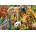 Educa - Puzzle Wild Animal Collage - 500 piese
