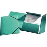 Esselte Briefcase with elastic band A4 pretzel green (10K017D)