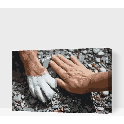 Vymalujsisam.cz Malování podle čísel Přátelé Velikost 40 x 60 cm Rámování Na kartonové desce