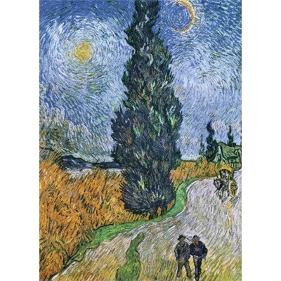 Obraz na plátne Starry night 70x100cm