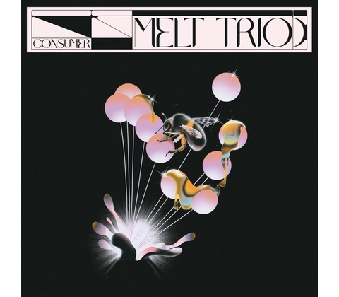 MELT TRIO - CONSUMER LP