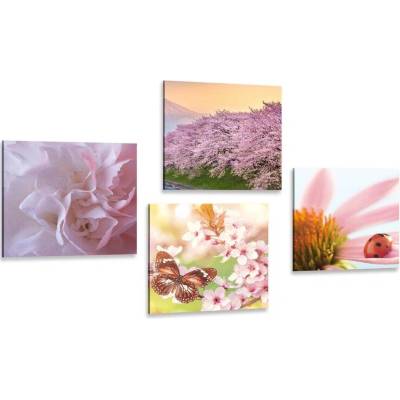 Set obrazů rozkvět přírody - 4x 60x60