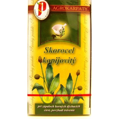 AGROKARPATY SKOROCEL kopinatý čaj 20 x 2 g