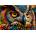 ROOVI - Puzzle Colorful Owl - 1 000 piese