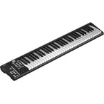 ICON Pro Audio Artist 61x Миди клавиатура (10023526)