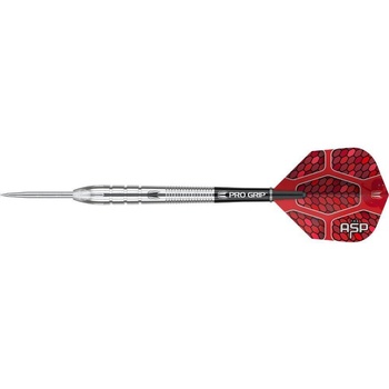 TARGET steel Nathan Aspinall 24g 90% wolfram