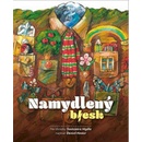 Namydlený blesk - Daniel Hevier