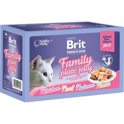 Brit Premium Cat Delicate Fillets in Jelly Chicken Beef Salmon Trout 12 x 85 g