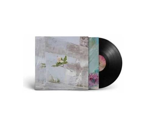 Efterklang - Windflowers LP