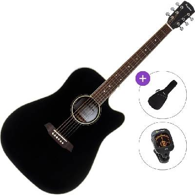 Pasadena PDC-300 Standard SET Black Акустична китара