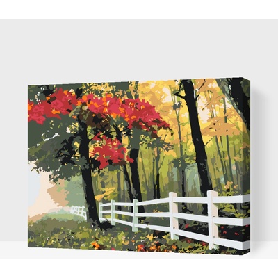 Vymalujsisam MALOVÁNÍ PODLE ČÍSEL PODZIMNÍ RÁNO – Zboží Dáma