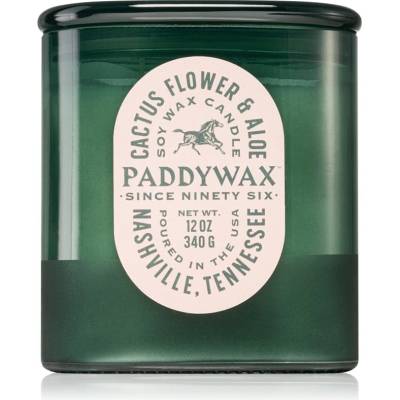 Paddywax Vista Cactus Flower & Aloe ароматна свещ 340 гр
