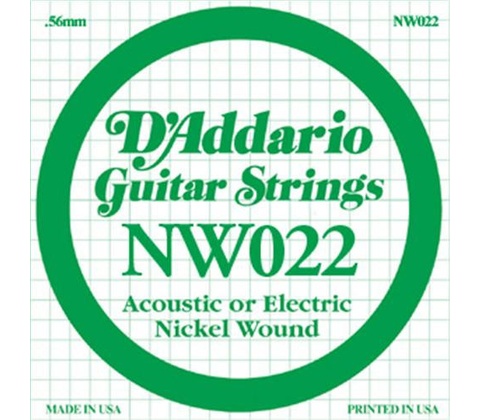 D'Addario NW022