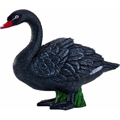 Mojo Labuť čierna