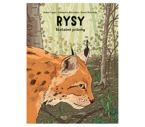 Rysy