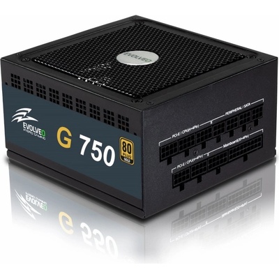 Evolveo 750W E-G750R