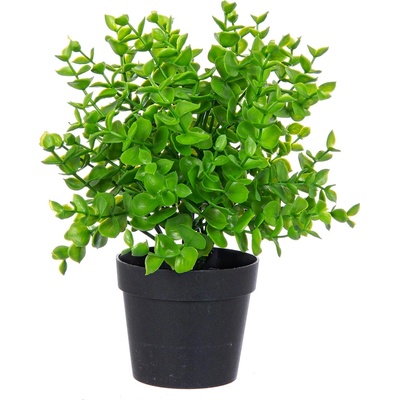 Bizzotto ИЗКУСТВЕНО РАСТЕНИЕ sedum 25cm ЗЕЛЕНО (0171053)