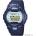 Casio BG-1001