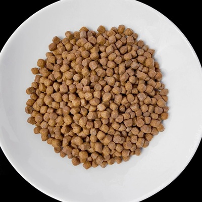Vet Response Renal 8 kg