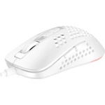 AVAX LW01W