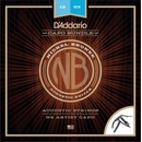 D´Addario NB1253