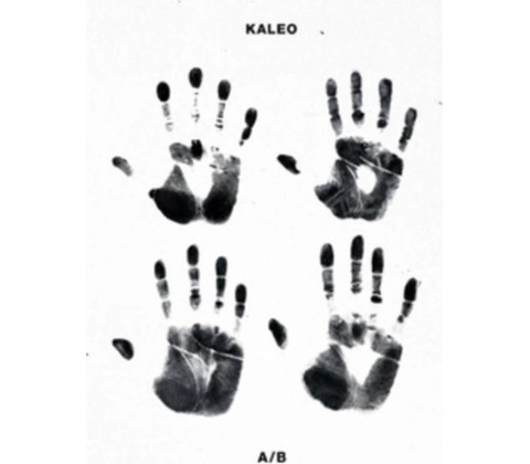 Kaleo - A/B LP