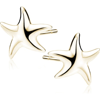 Olivie Stříbrné náušnice HVĚZDICE GOLD 9860