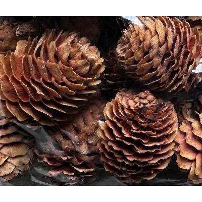 GLABRUM LOOSE NATURAL POLY BAG ( 1 kg )