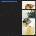 Lime Garden - Maybe Not Tonight (CD) (0199806785676)