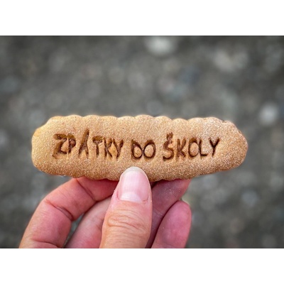 TVOŘÍTKO Zpátky do školy - vykrajovátko – Hledejceny.cz