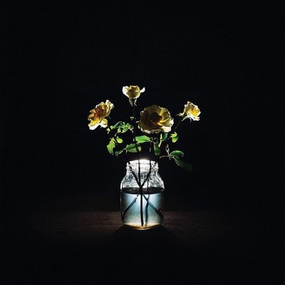 Billy Strings - Renewal 180g LP