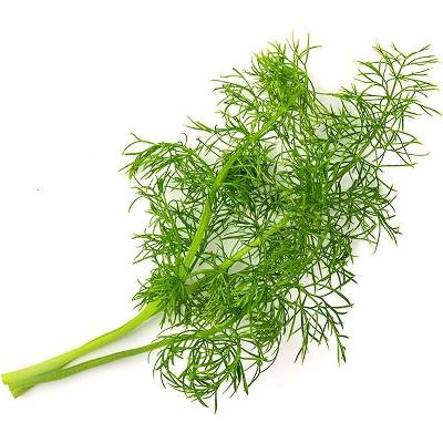 Veritable Вложка за семена Lingot необичайни билки копър (VLIN-J10-Fen043)