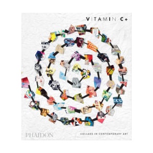 Vitamin C+ (ISBN: 9781837292226)