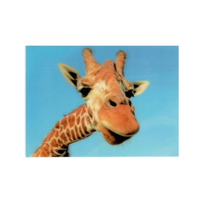 Pohľadnica Žirafa 3D