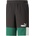 PUMA Къси панталони ESS+ Block 10 TR