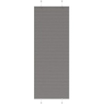 vidaXL Плисирана щора Антрацит 70x200 cm Ширина на плата 69, 4 cm (4015103)