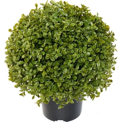 BUXUS KOULE STK, 27cm