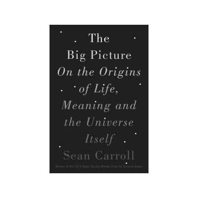 Big Picture Carroll Sean