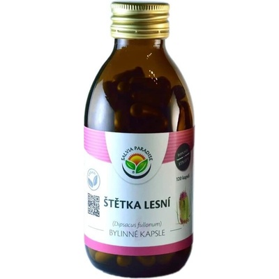 Salvia Paradise Štětka lesní 60 kapsúl