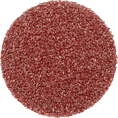Pferd 42832108 | PSA-Discs 20 A 80