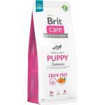 Brit Grain-free Puppy Salmon & Potato - със сьомга, за кучета от 1 до 12 месеца, 3 кг