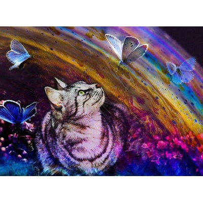 Grafika Cat and butterflies 2000 dielov
