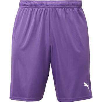 PUMA Teamgoal shorts l
