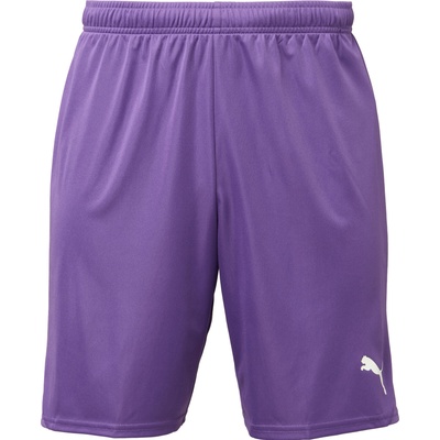 PUMA Teamgoal shorts l