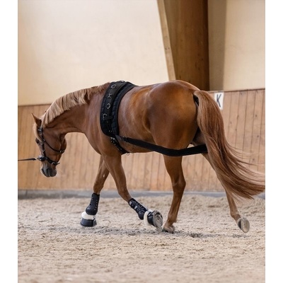 Waldhausen Pomůcka na lonžování k aktivaci zadních končetin Černá – Zbozi.Blesk.cz